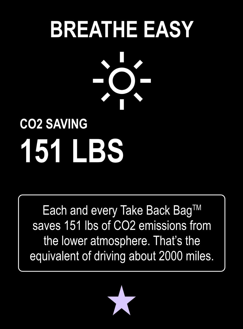 Take Back Bag